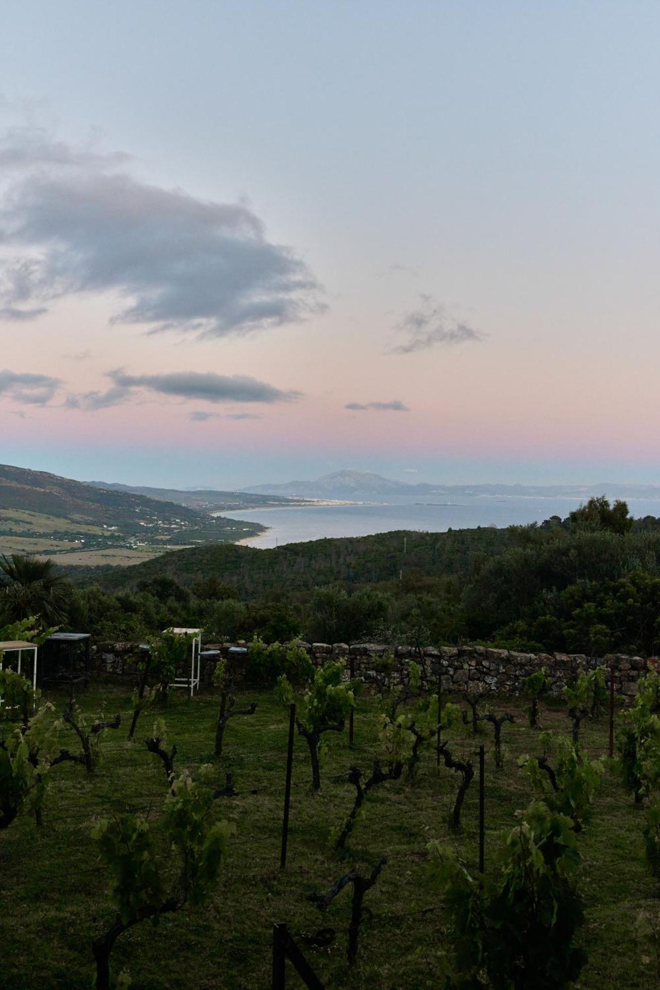 Taiga Tarifa Punta Paloma酒店 外观 照片